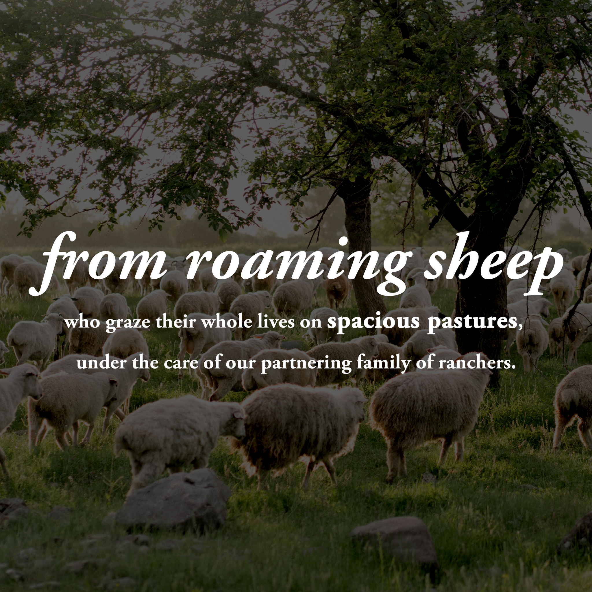 Jumbo Wool Dryer Balls