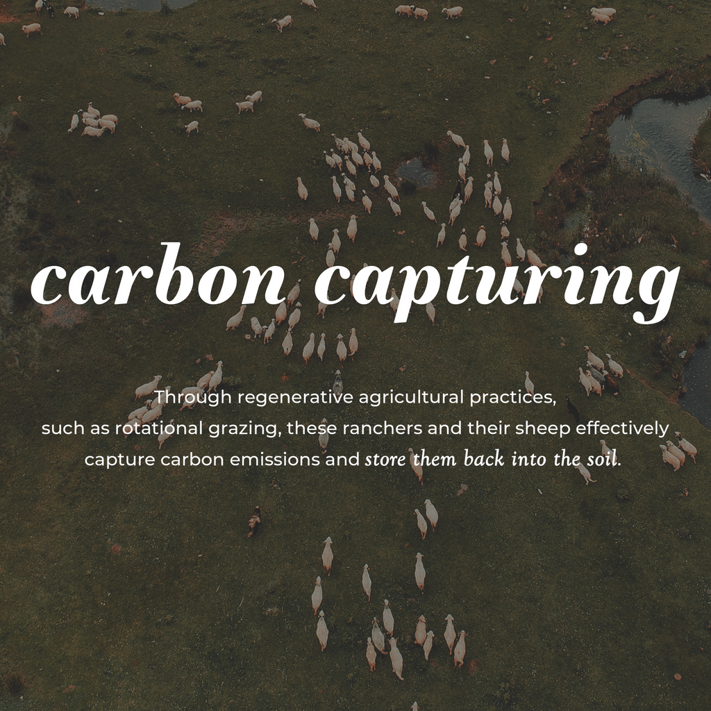 Jumbo Wool Dryer Balls