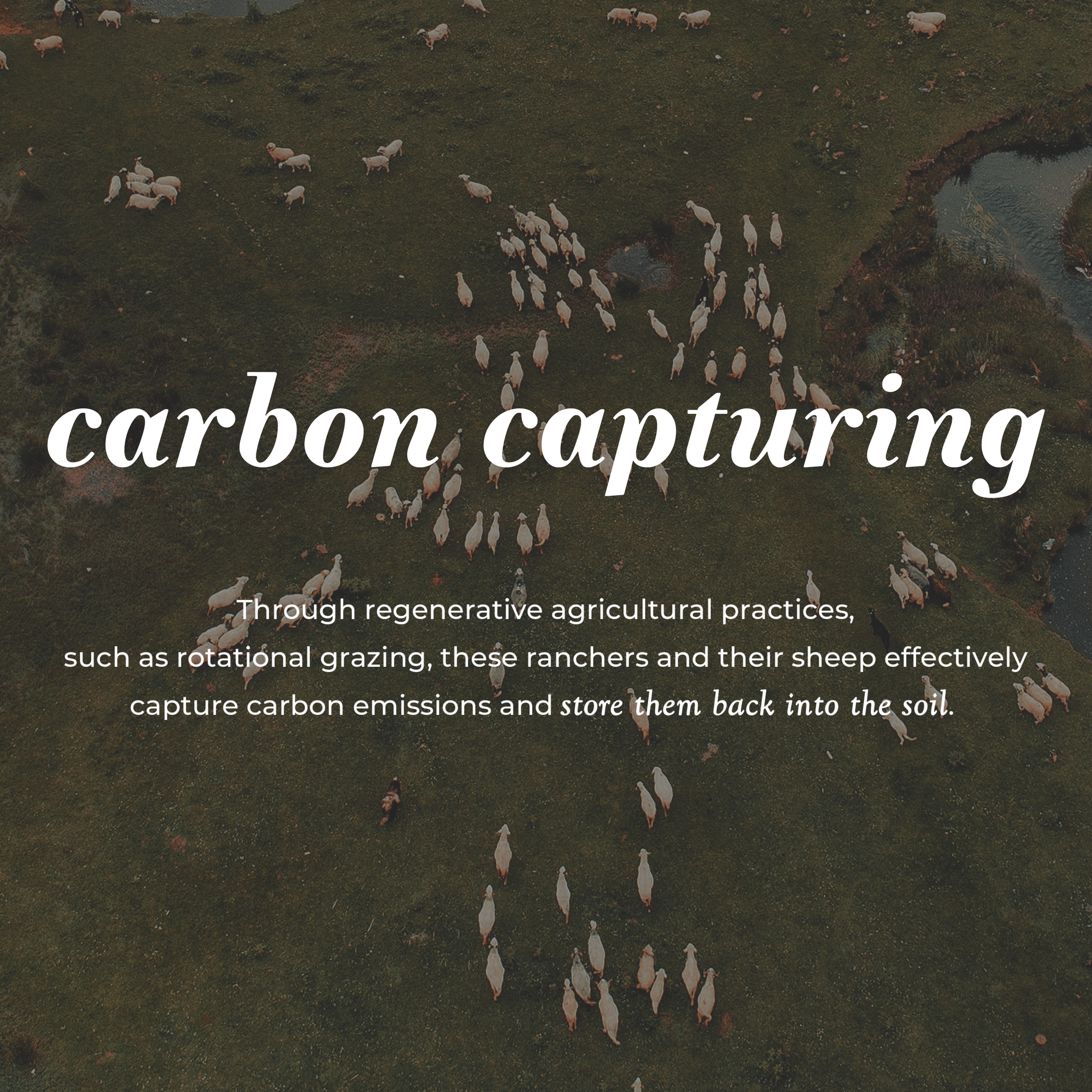 Jumbo Wool Dryer Balls